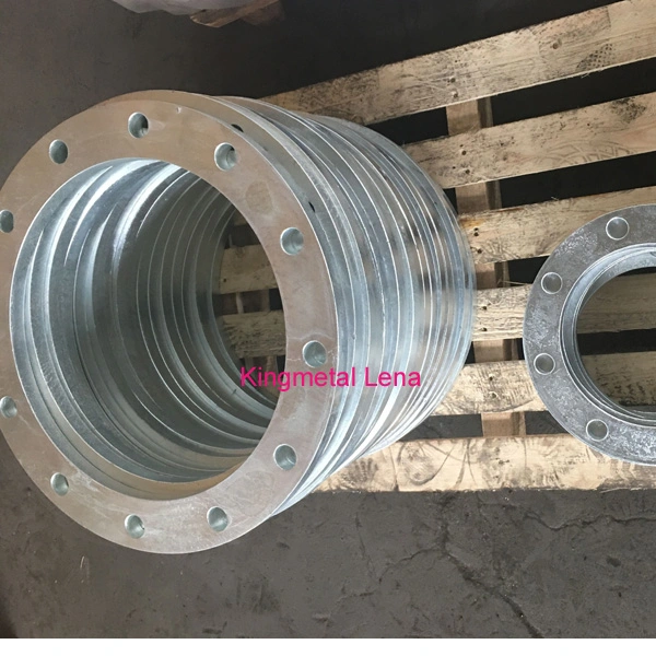 Hot DIP Galvanized ANSI DIN BS Flange Forged Steel Flange