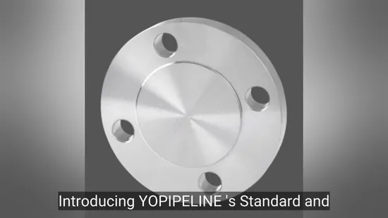 ANSI A105 RF 炭素鋼鍛造ブラインドパイプフランジ