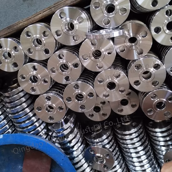 GOST規格のステンレス鋼製ブラインドフランジ